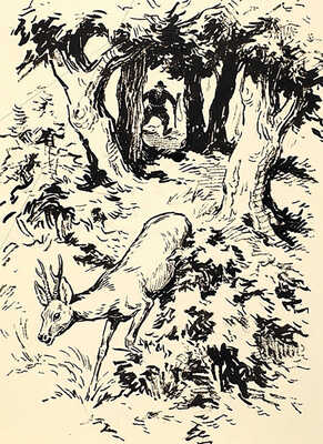 Никольский Георгий Евлампиевич. Охота на оленя